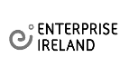 Enterprise Ireland Logo